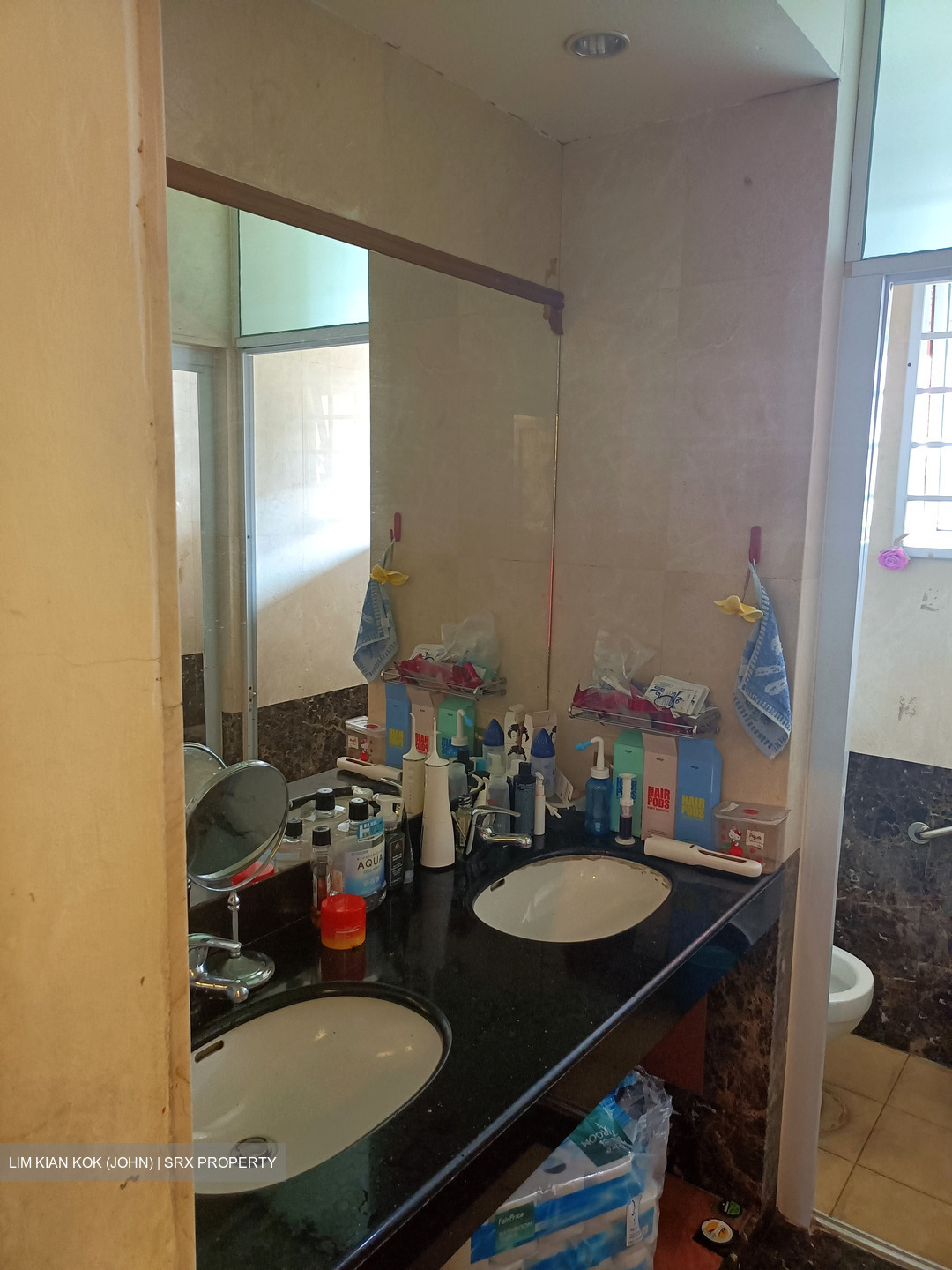 Lorong Sarina (D14), Terrace #628493061